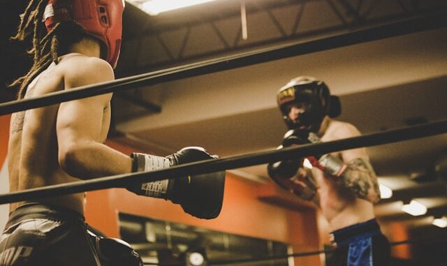 boxe senior boxe senior
