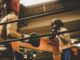 boxe senior